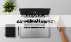 嘛花豆传剧mv（阿嘛豆花）
