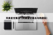 天美星空果冻（天美星空果冻乌鸦蘑菇）